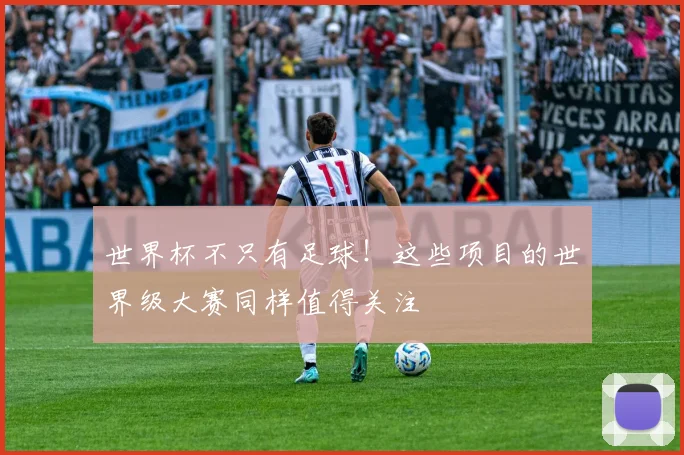 世界杯不只有足球！这些项目的世界级大赛同样值得关注