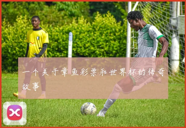 一个关于章鱼彩票和世界杯的传奇故事